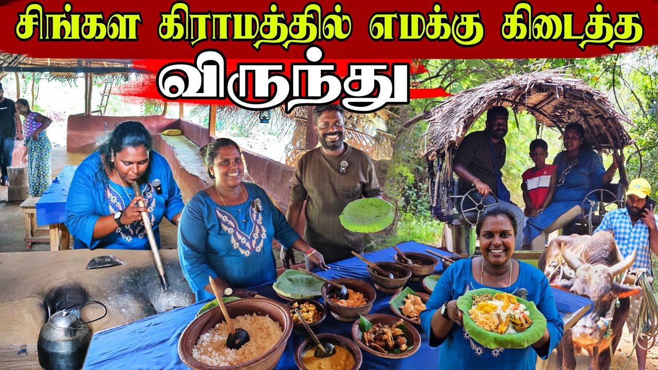 தமிழர்கள் மறந்து விட்ட கிராமத்து வாழ்க்கை | Our Village life | vanni vlog