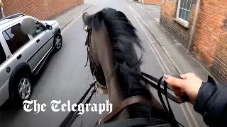 video: Moment mounted police chase down motorist using phone behind the wheel