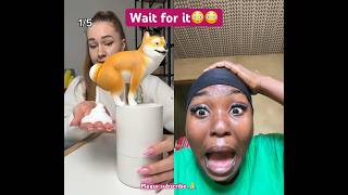 Wait For Itshorts short youtubeshorts ytshorts funny viral short virals duet