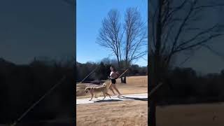 Truck Horn Sound Effect