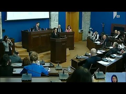 ციხელაშვილის მოსმენა პარლამენტში