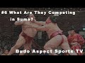 #6 What Are They Competing in Sumo?| The Battle of Center of Gravity