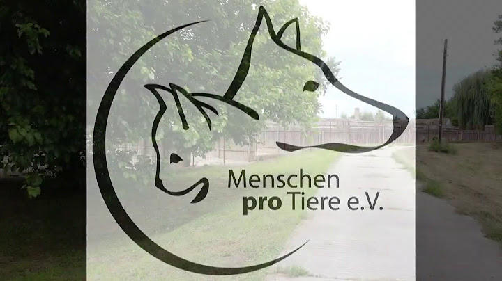 Unser Tierheim in Barcs/Ungarn