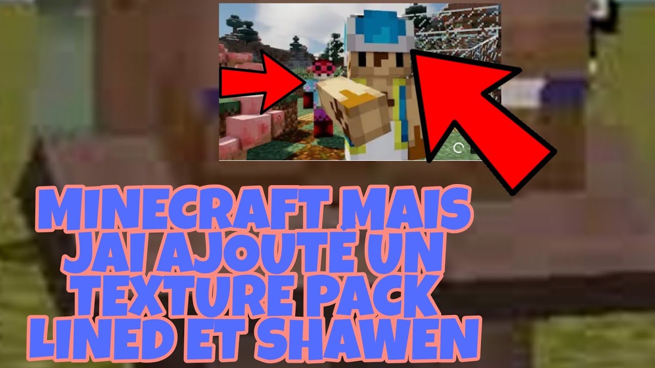 Minecraft Mais Jai AjoutÉ Un Pack De Texture Lined Et Shawen Youtube