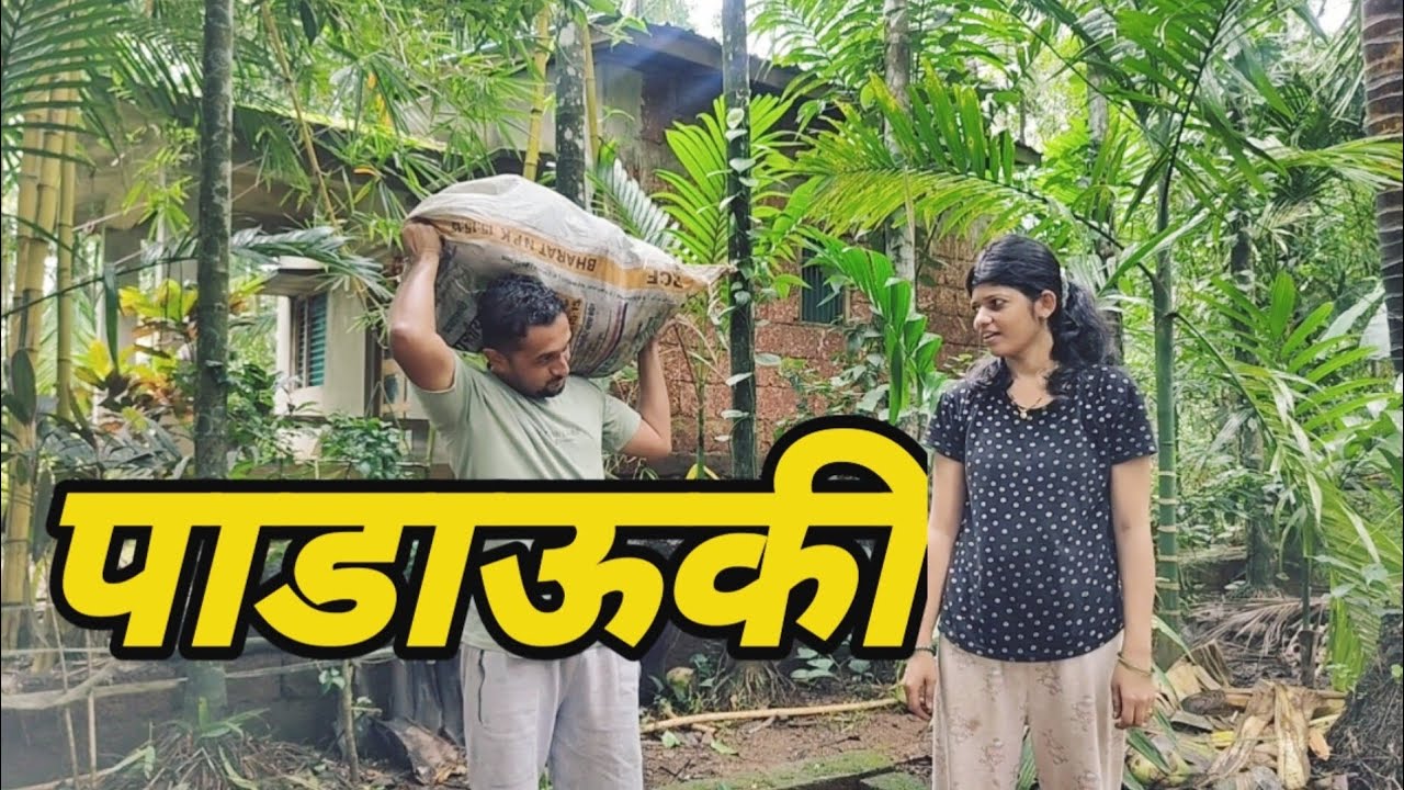 पाडाऊकी म्हणजे काय ? || सकाळी सकाळी काका नारळ पाडायला आले ||
