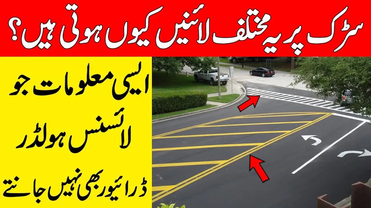 what-is-the-line-on-the-side-of-the-road-reality-facts-amazing-facts