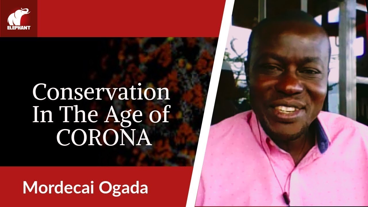 Dr Mordecai Ogada: Conservation in the Age of  Coronavirus