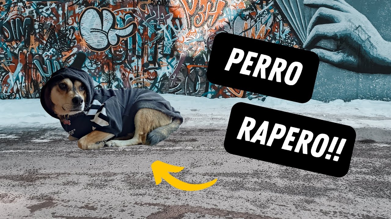 Perro Rapero Perro Rapero - Rocket Romanoff 🐕😱 - YouTube