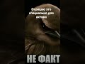 на самом деле мы помогаем