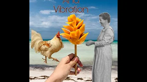 Reincarnation and Vibration with Host Psychic Kath...