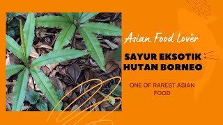 Sayur Hutan Borneo eksotik