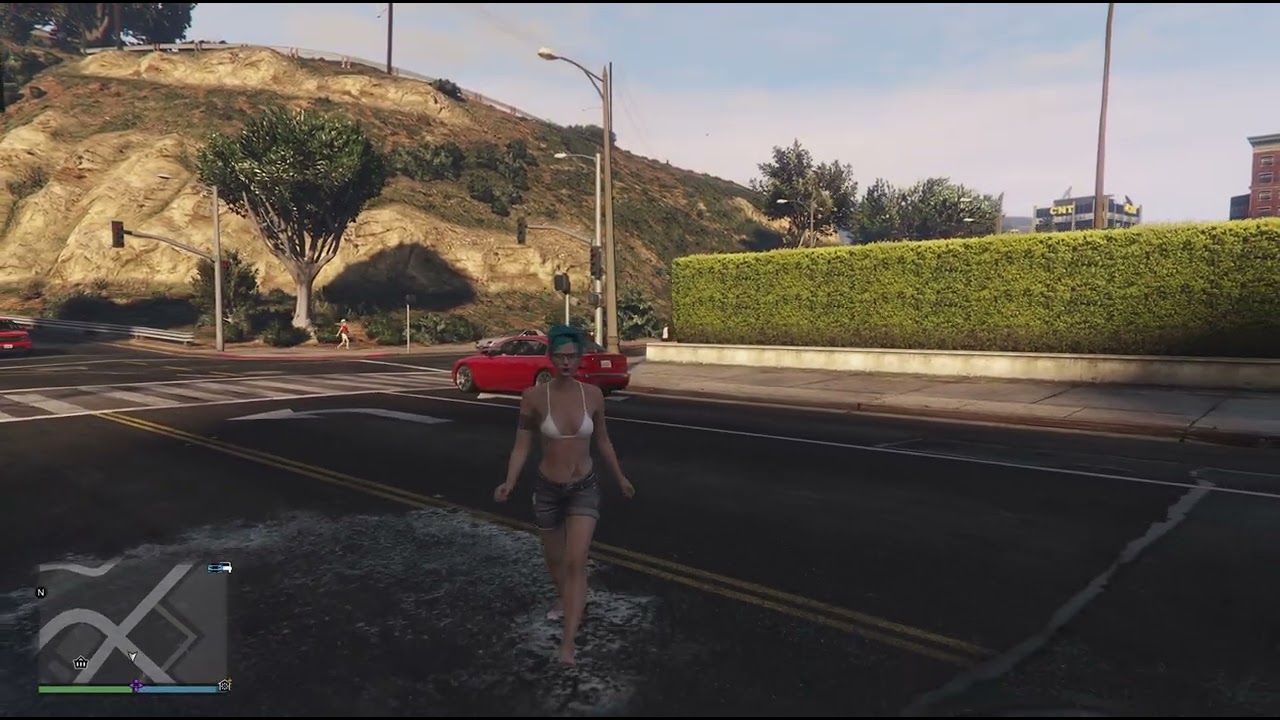 Grand Theft Auto V Mia