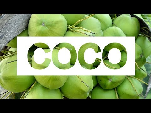 Os 15 Benefícios do Coco Para Saúde | Dicas de Saúde