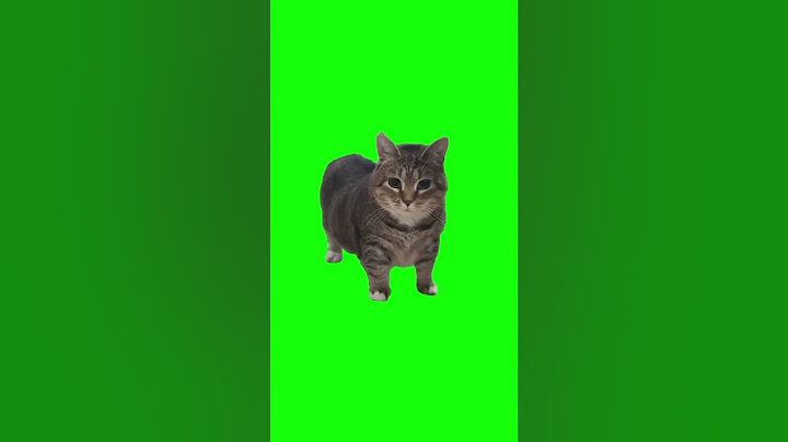 Oiiaoiia Cat Meme | Green Screen #cat #catmeme #oiiaoiia #brainrot #cats #meme #fyp