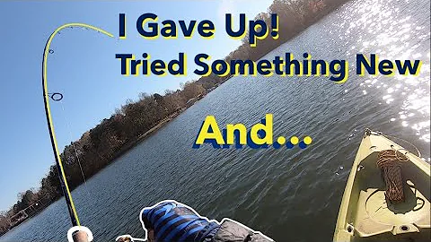 Found Non-Stop Spotted and Hybrid Action!! | L. NORMAN (Late Fall)