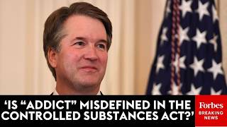 Brett Kavanaugh Grills Doj Official On Correct Definition Of Addict In Controlled Substance Laws