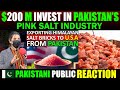 Exporting himalayan pink salt bricks to the usa from pakistan  pakistani public reactions