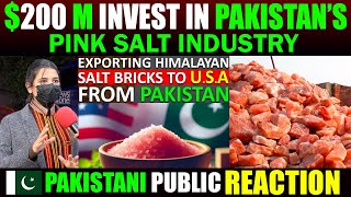 Exporting Himalayan Pink Salt Bricks To the USA From Pakistan - Pakistani Public Reactions