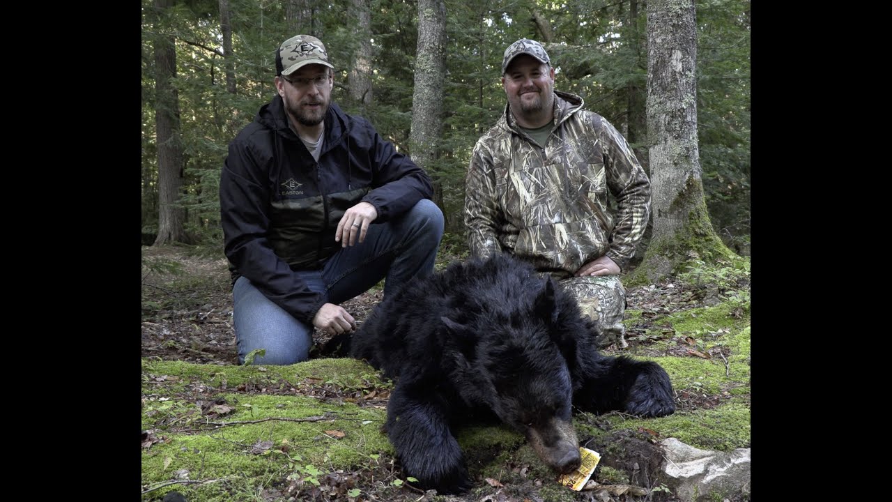 MI Bear Hunt Dustin YouTube