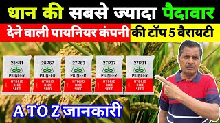 धान की सबसे ज्यादा पैदावार देने वाली पायनियर कंपनी की टॉप 5 वैरायटी | Pioneer dhan ki top variety screenshot 5