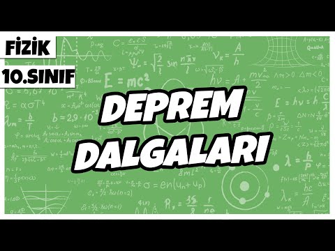 10.Sınıf Fizik - Deprem Dalgaları | 2022