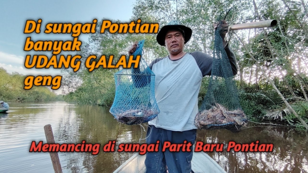 MENGGASAK UDANG GALAH DI SUNGAI PONTIAN geng.. Memancing di Parit Baru Pontian