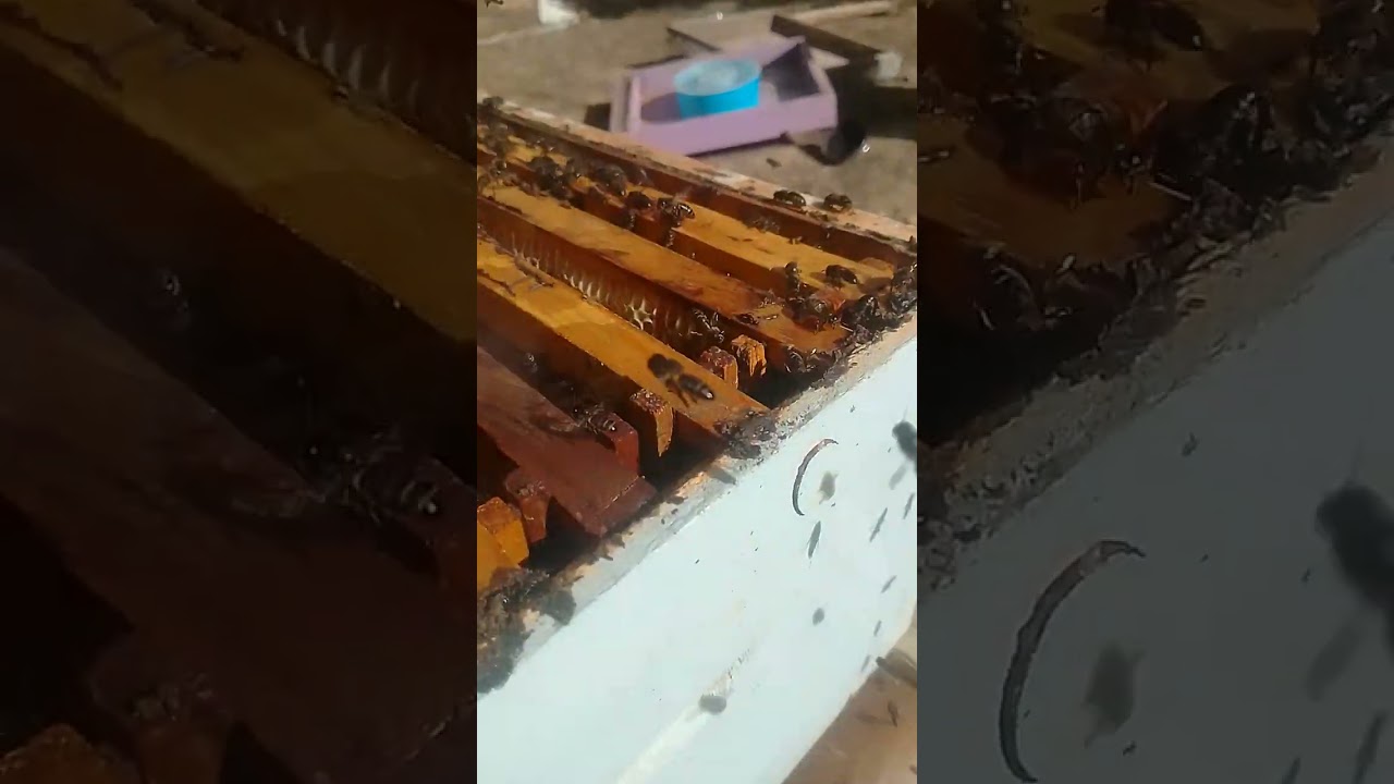 كيفية إضافة الإطارة