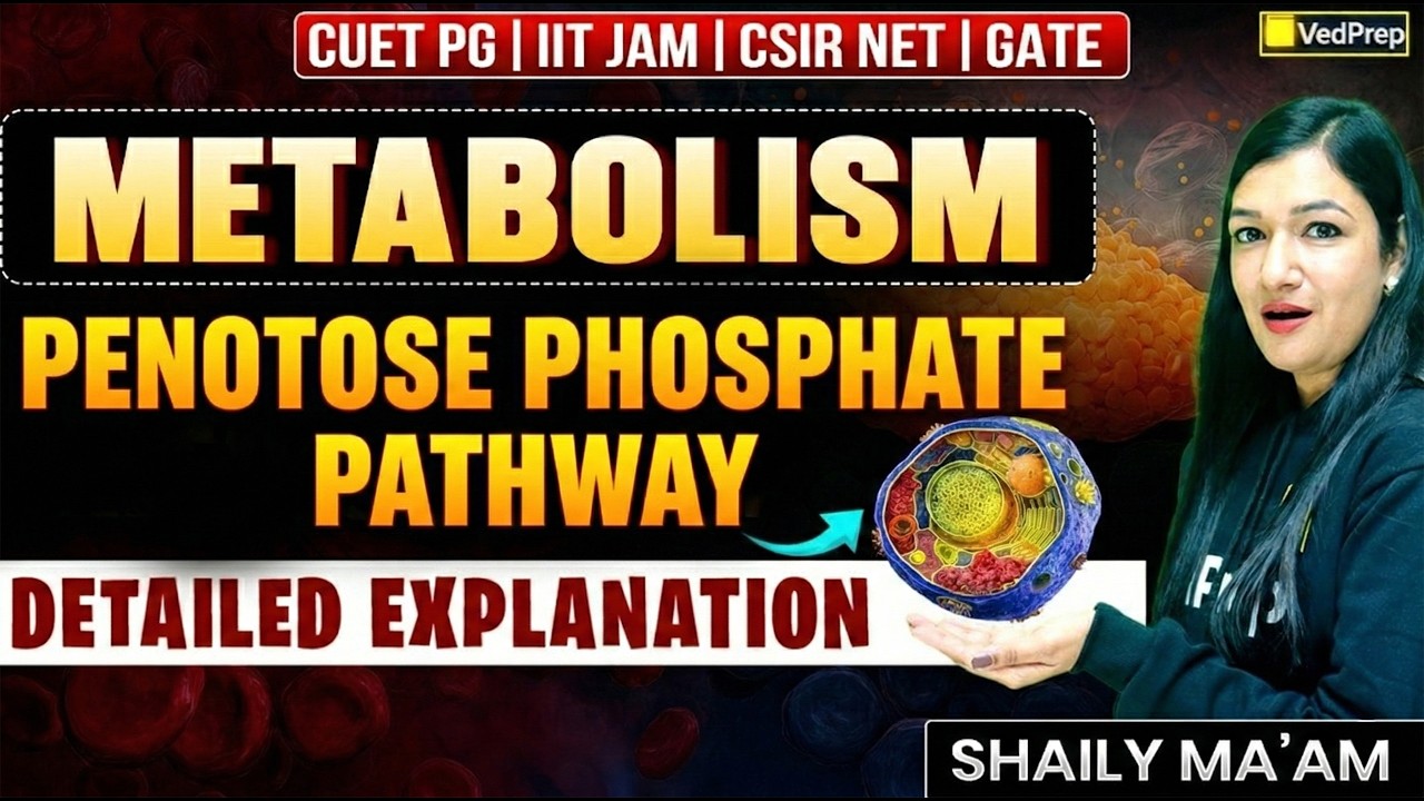 Metabolism | Pentose Phosphate Pathway (PPP) | Detailed Explanation | CUET PG • IIT JAM • CSIR NET