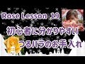 Rose Lesson 19    自然農法バラ栽培