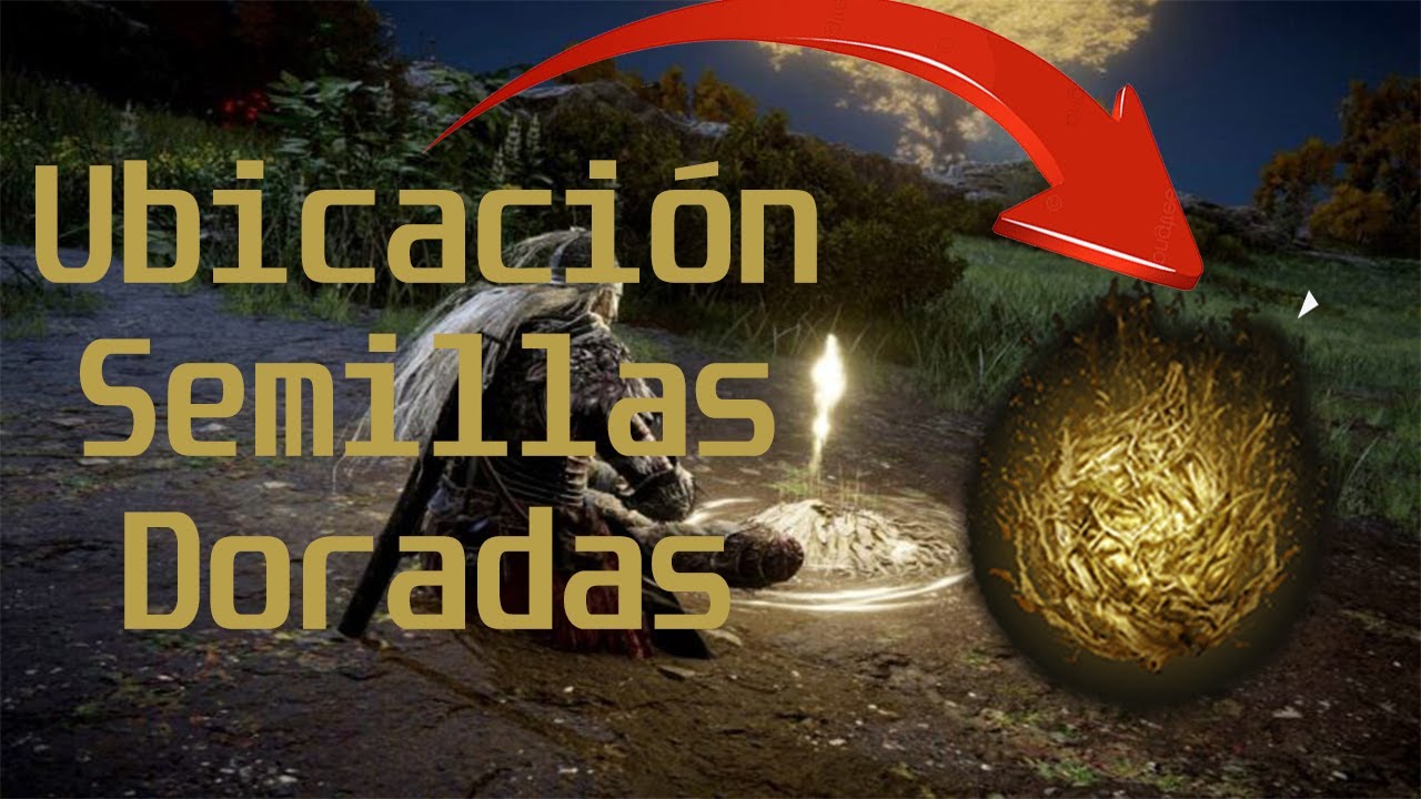 Ubicación Encontrar Semillas Doradas ELDEN RING (P.1)