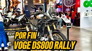 Nueva VOGE DS 800 RALLY 2027 ¿Cuándo llega? 