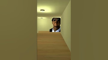 Obunga is chasing me | Garry