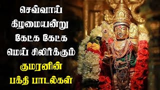 காலையில் கேட்க வேண்டிய முருகன் பாடல்கள் | Murugan Special Songs | Best Murugan Songs Tamil