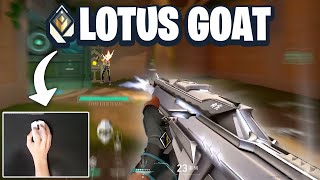 Lotus Might Be My Map... screenshot 2