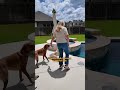 Labs Can Let Themselves Out For A Swim Whenever They Want | The Dodo