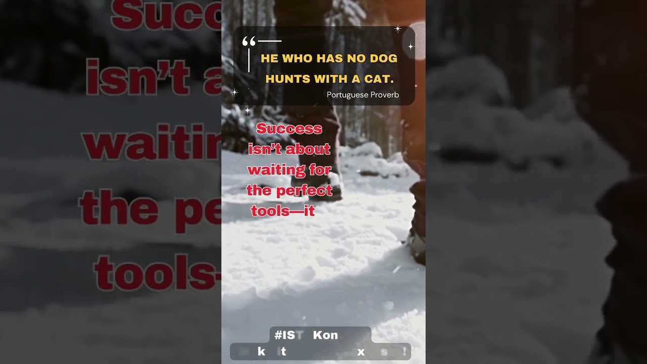 "No dog? Use a cat!" Success is about making the most of what you have.