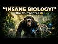 The Animal That Thinks Like Humans? 😳 | Science Documantary