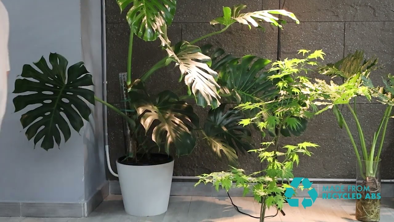 Magsafe Power Bank with 5000 mAh Battery | Brandcharger Powercharge Air Eco