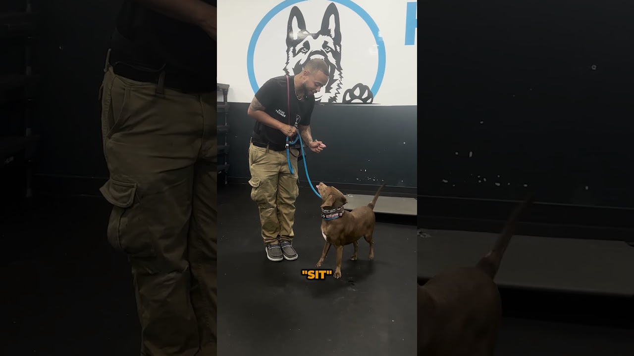 Verbal Markers vs. Commands: What’s the Difference? 