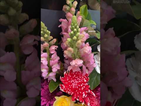 الورد له في روايحه لغات تجمع بين النار و الجنة ورد زهور فوزي