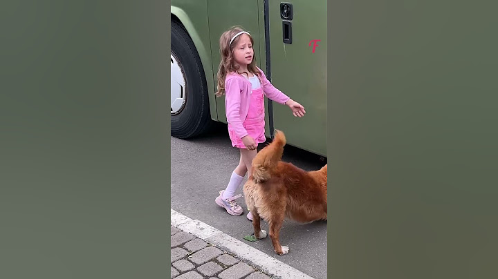 Incredible Dog Rescues Kittens from Bus - Inspiring Story #shorts
