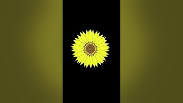 Sunflower python animation with source code #pythonturtle #coding #shorts #shortvideo #ytshorts #sk