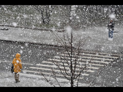 Снегопад в Москве