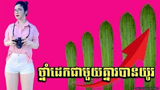 ថ្នាំជំនួយលិង្គអោយវែង | ថ្នាំពង្រីកលិង្គ | ថ្នាំដេកជាមួយគ្នារបានយូរ