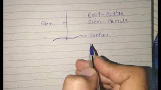 Trick Aerial root (Brace, prop root) crown root, primary root, seminal root, root hairs ||