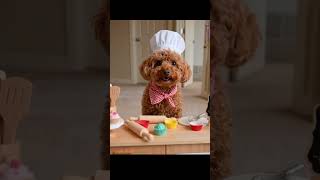 Master Chef Coco Serving Up Pure Joy