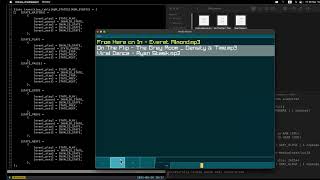 Celebrity 04: cmediaplayer (raylib/raygui/GStreamer) Volume Bar Wealth