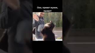 ДРУЖЕЛЮБНЫЙ СОСЕД  😀#ПРИКОЛ #shorts #тикток #юмор