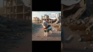 Siapa Yang Bantu Kucing Palestina 😢
