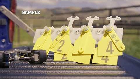 Z Tags Tissue Sampler + Tag